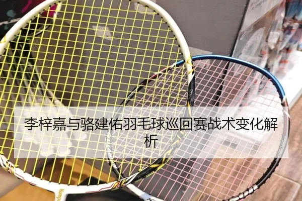 李梓嘉与骆建佑羽毛球巡回赛战术变化解析